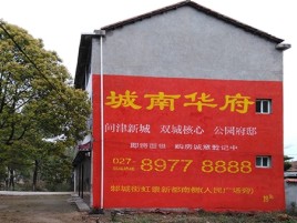 射阳百分之90的人都不了解的农村墙体广告