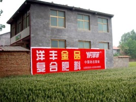 射阳如何让墙体广告展现最大化效果