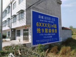 射阳墙体广告质量分析