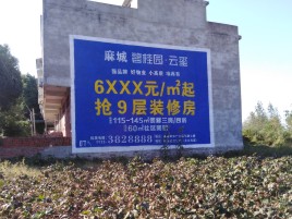 射阳品牌公司青睐的墙体广告