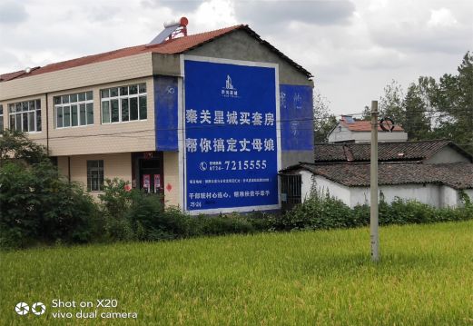 射阳决定墙体广告价格的因素有哪些？