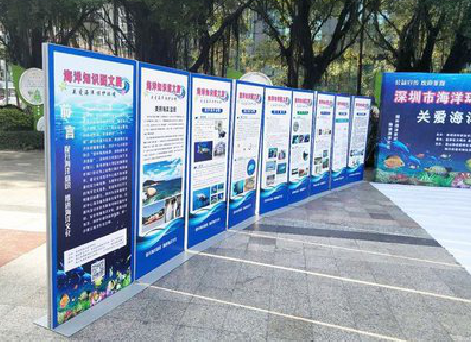 射阳KT板的种类和知识。